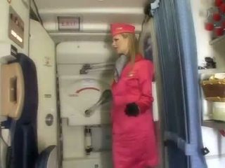 制服 看, 额定 air hostesses 理想