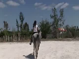 Schnecke aus thailand reiten ein pferd