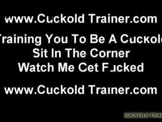 cuckold, free femdom watch, any wife