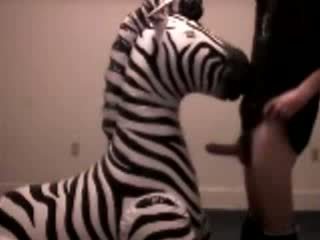 Zebra gets throat ระยำ โดย pervert guy วีดีโอ